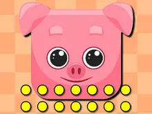 Funny Animal Faces